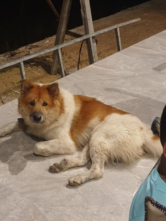 ถัง