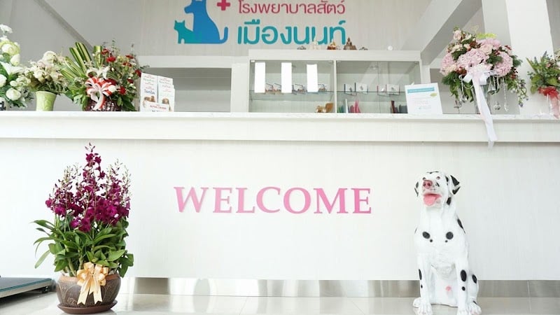 โรงพยาบาลสัตว์ LPD เมืองนนท์