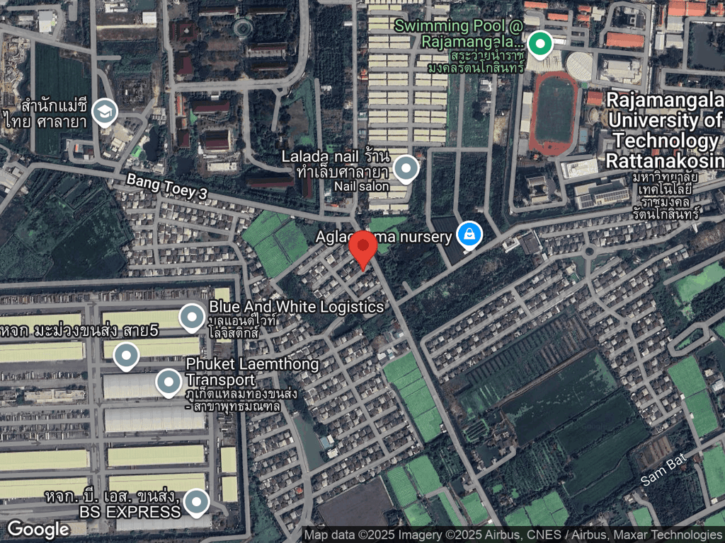 สถานที่หายของชิกกี้บี