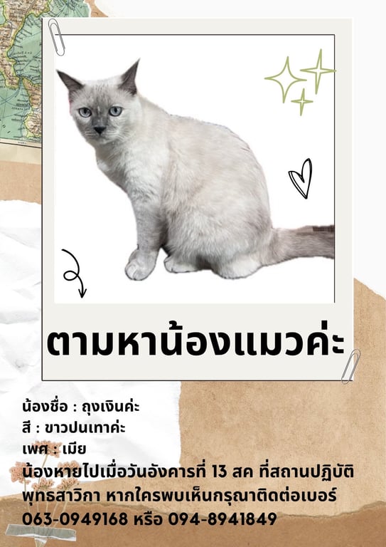 ถุงเงิน