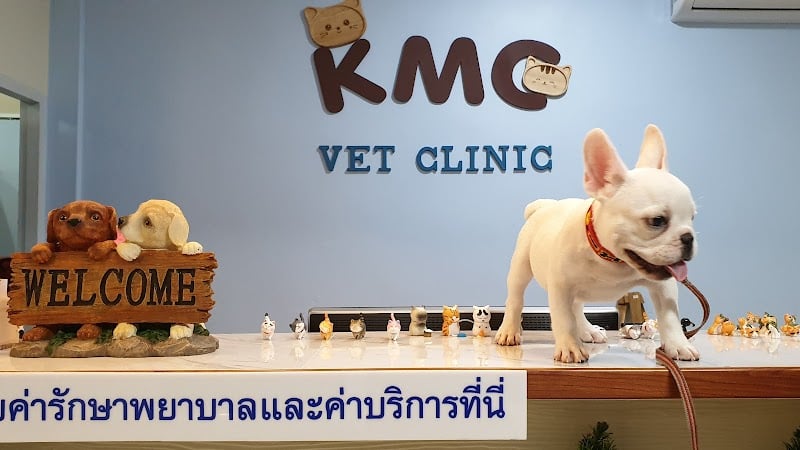 คงมั่นเจริญ รักษาสัตว์ KMC Vet Clinic and Grooming
