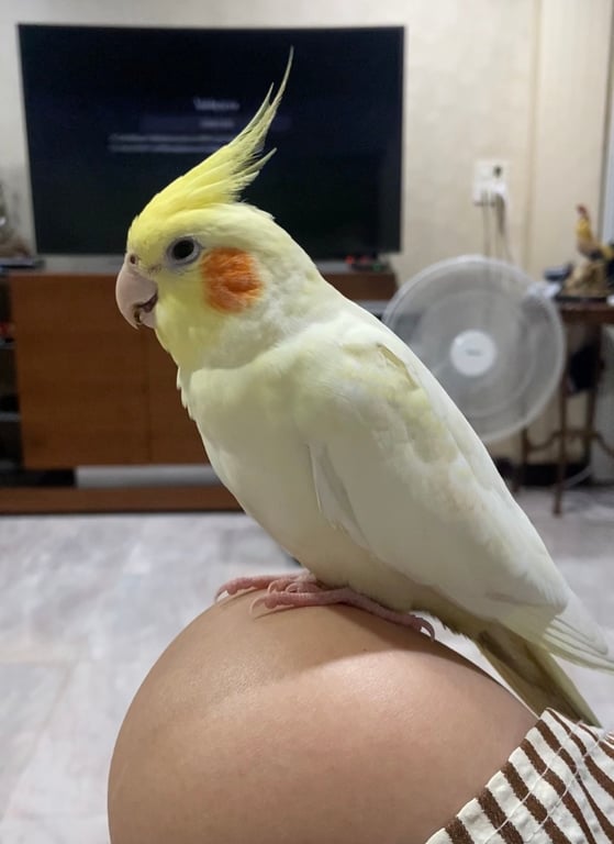 ซูริค