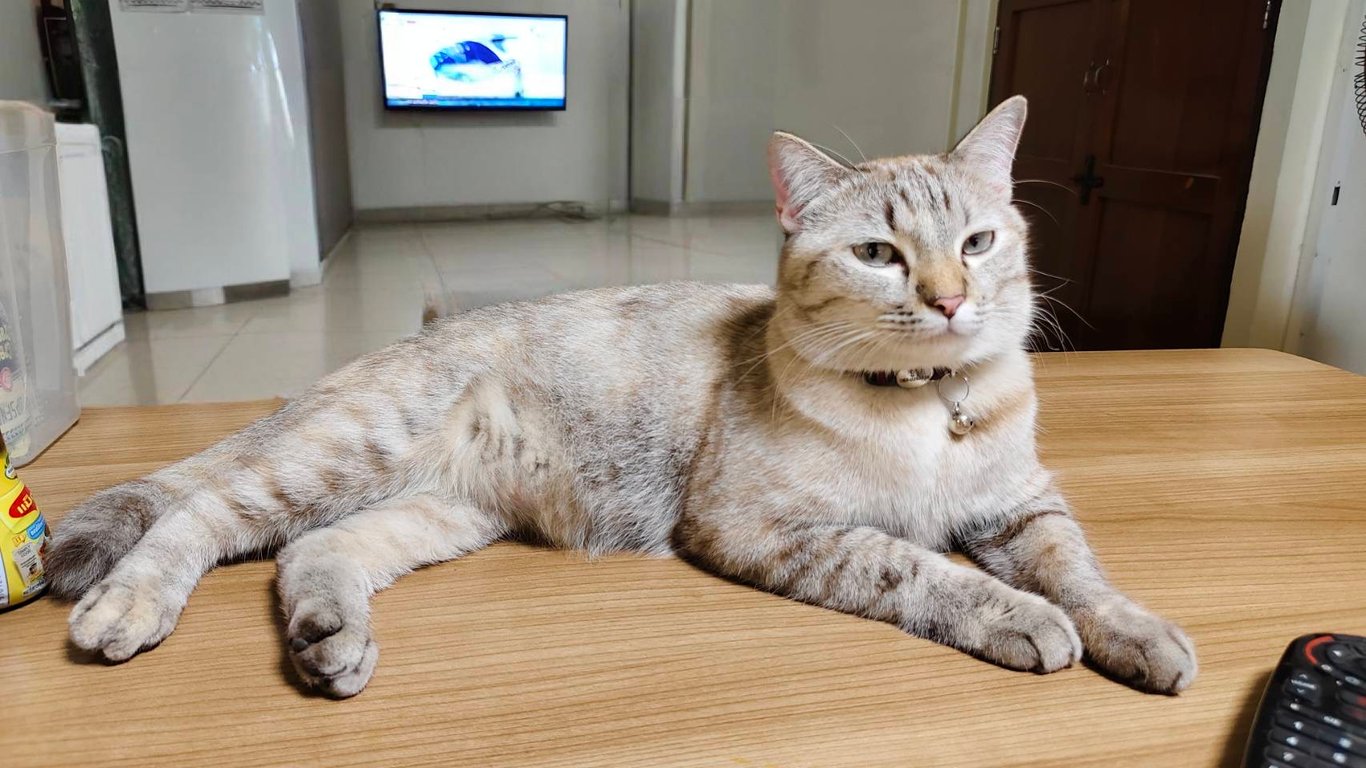 ชาบู