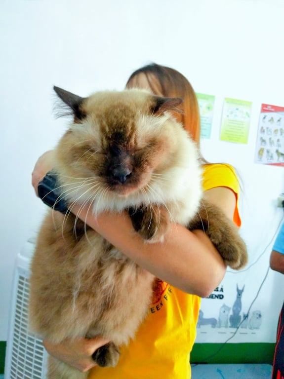 คลินิกพนมสัตวแพทย์