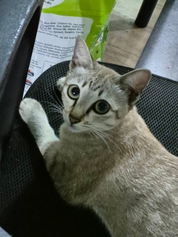 กรอก