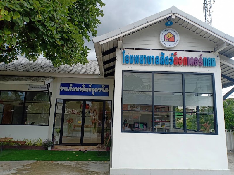 โรงพยาบาลสัตว์ด็อกเตอร์แคท