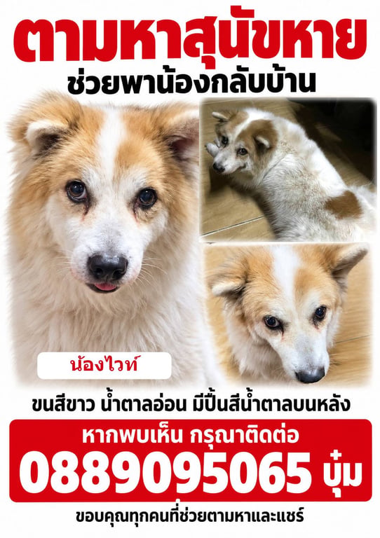 ไวท์