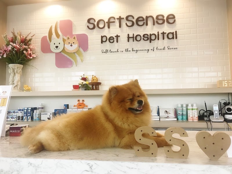 โรงพยาบาลสัตว์ซอฟท์เซนส์ SoftSense Pet Hospital