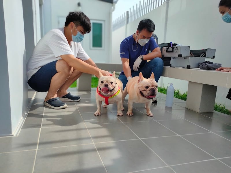 โรงพยาบาลสัตว์ศรีนคร