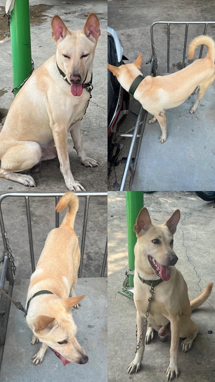 น้องเห็ด