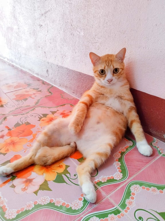 ทอง