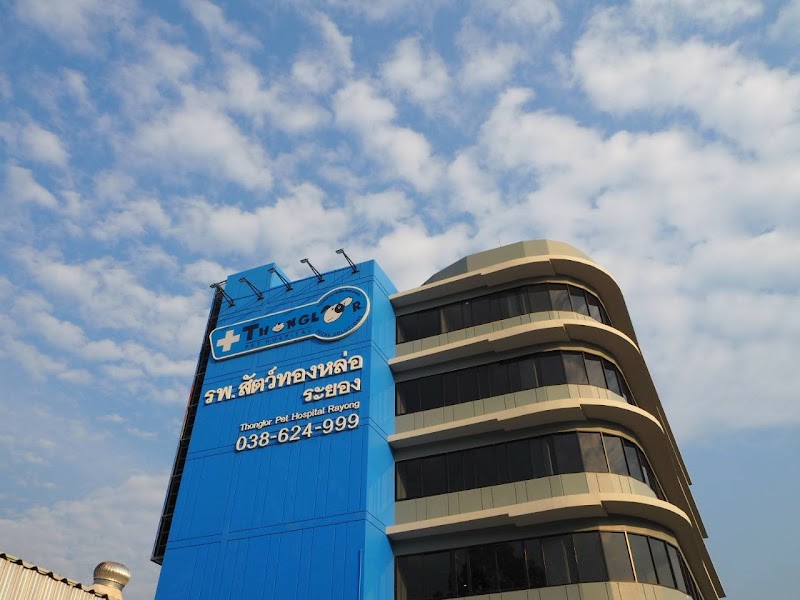 Thonglor Pet Hospital Rayong โรงพยาบาลสัตว์ทองหล่อ ระยอง