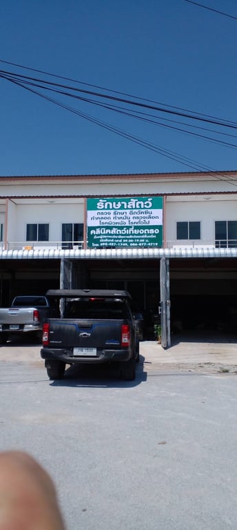 คลีนิคสัตว์เที่ยงตรง