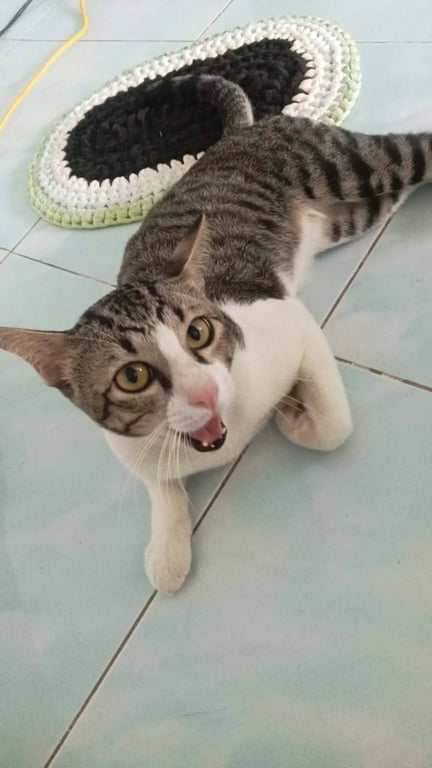 ขาวผ่อง