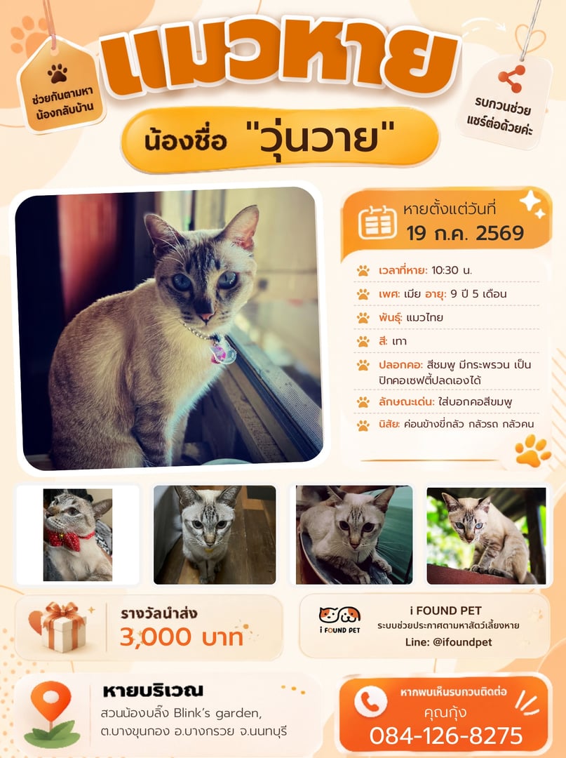 วุ่นวาย