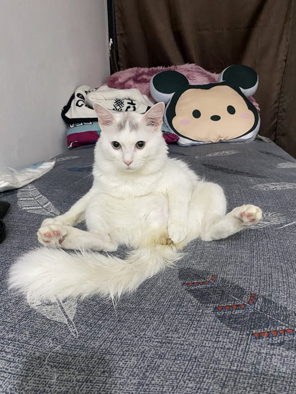 ทองแท่ง