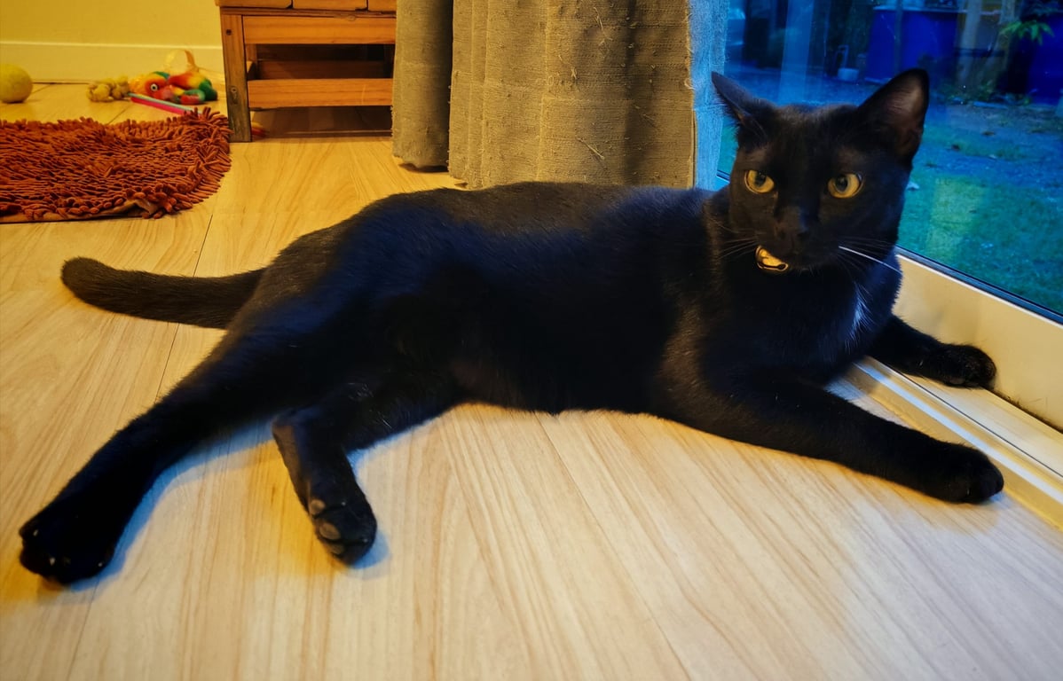 ขวัญ​เงิน