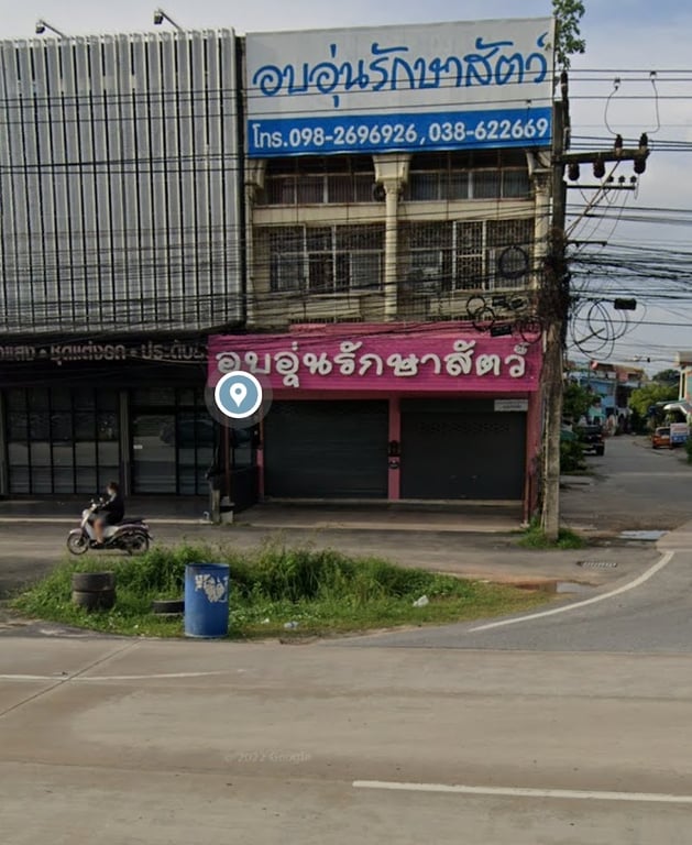 อบอุ่นรักษาสัตว์ ระยอง