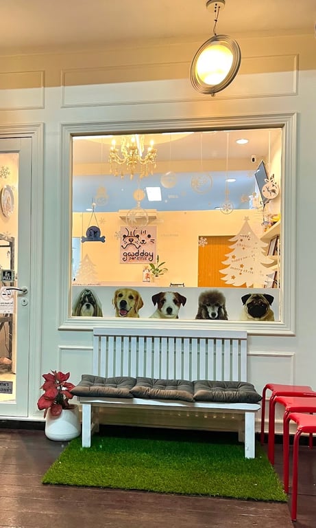 กู๊ดเดย์เพ็ทคลินิก-Good Day Pet Clinic