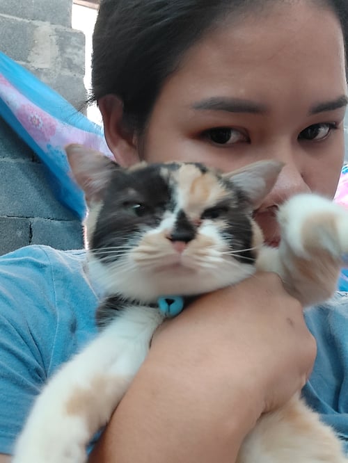 ขนมปัง