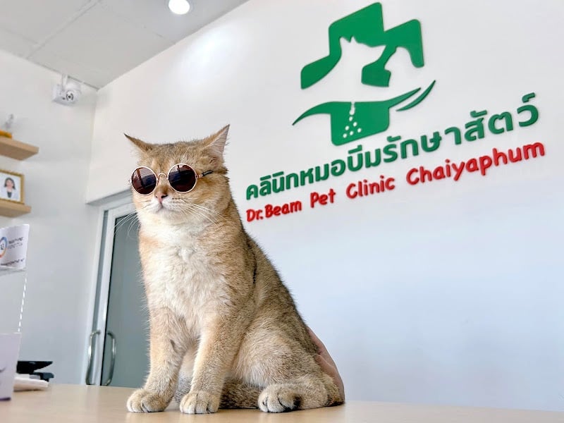 คลินิกหมอบีมรักษาสัตว์ ชัยภูมิ