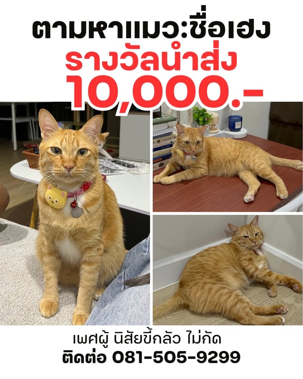เฮง