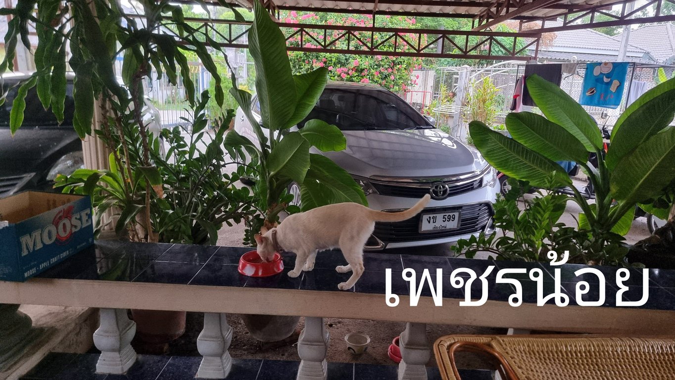 เพชรน้อย