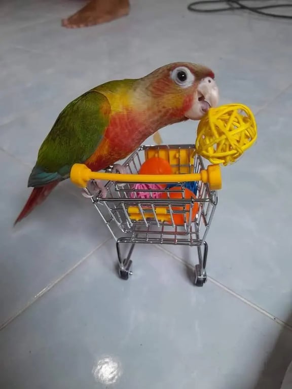 นำน่า