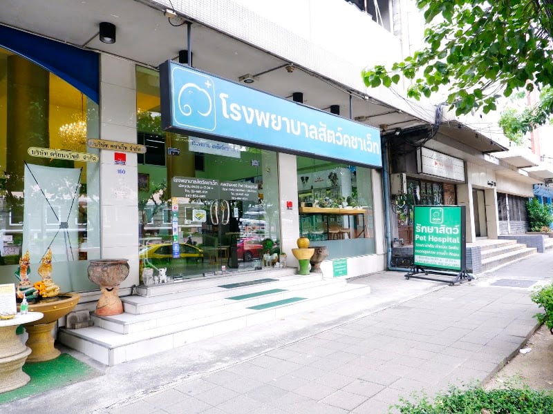 โรงพยาบาลสัตว์คชาเว็ท(รัชดา) (Kachavet Pet Hospital) 康查维宠物医院