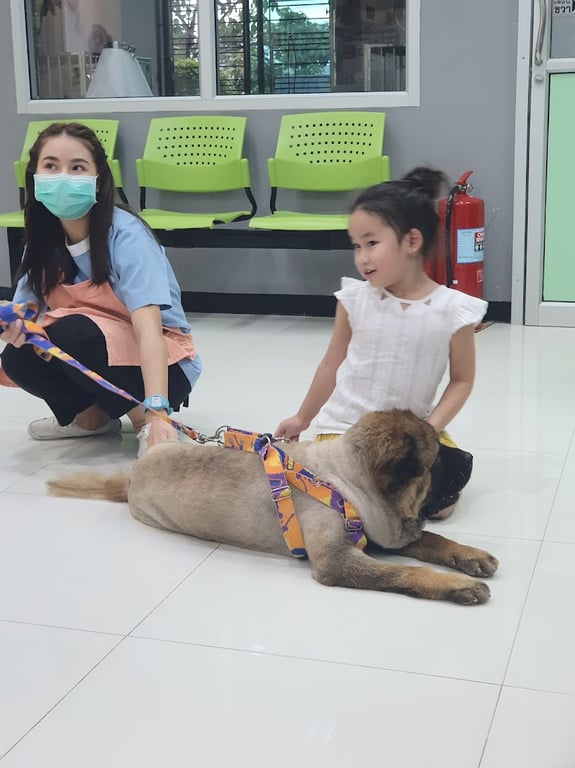 โรงพยาบาลสัตว์แอนิมัล เวลเนส ระยอง