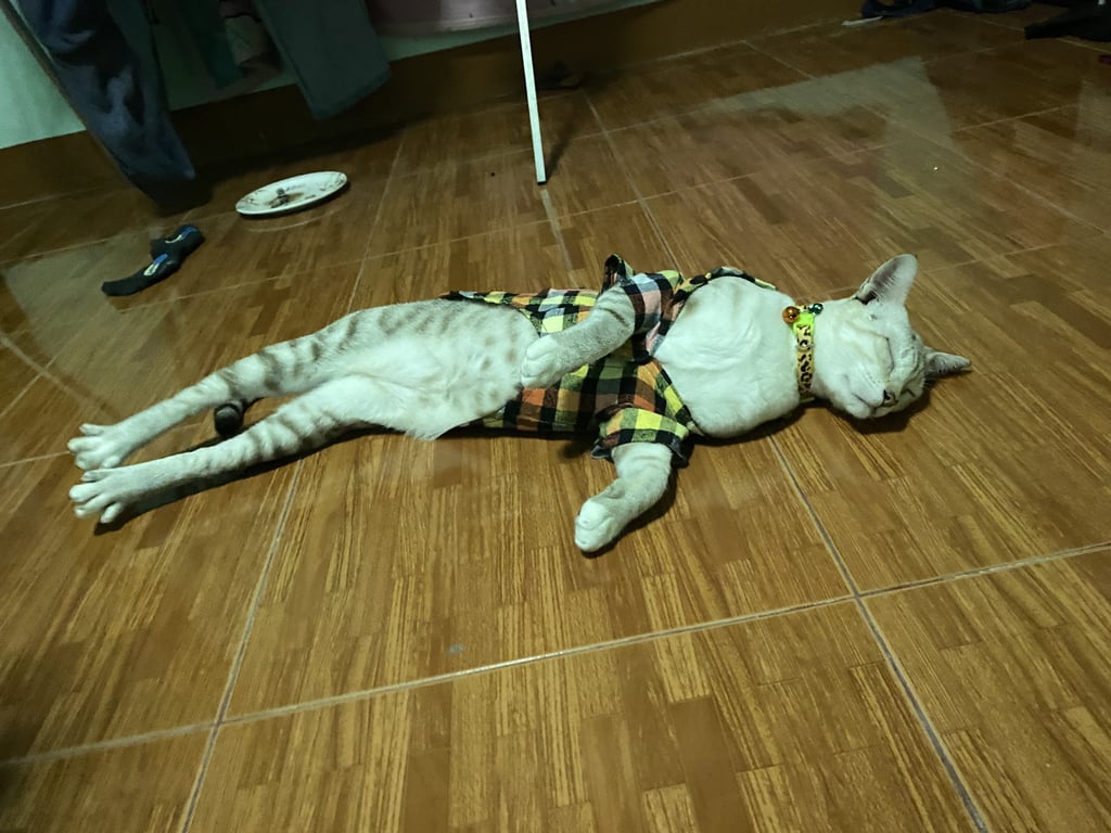 กันดั้ม
