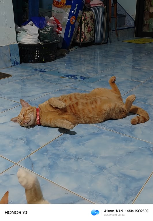 พอร์ช