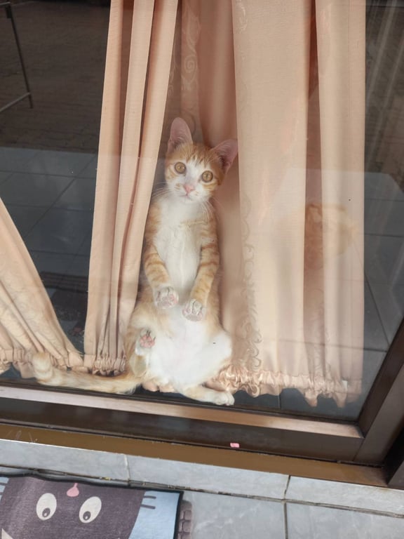 ปีใหม่