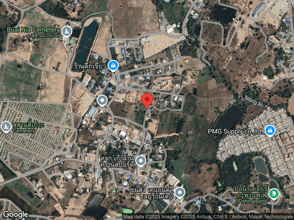 สถานที่หายของเกาลัด