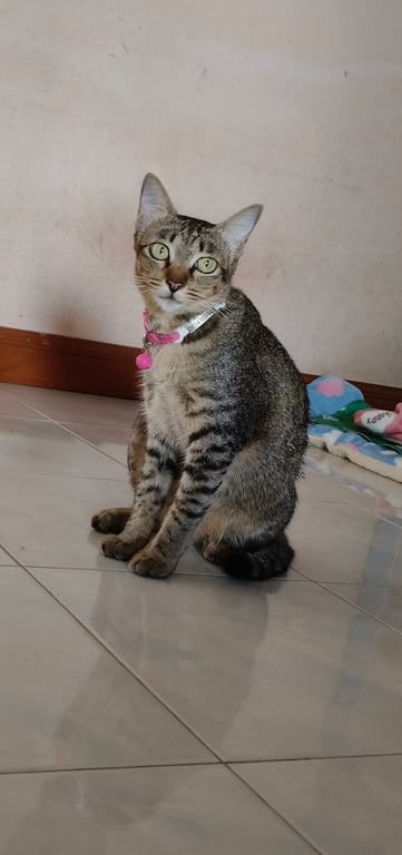 มีตังค์