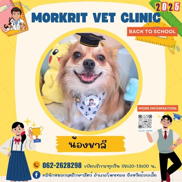 หมอกฤตรักษาสัตว์ (อ.โพนทอง จ.ร้อยเอ็ด)
