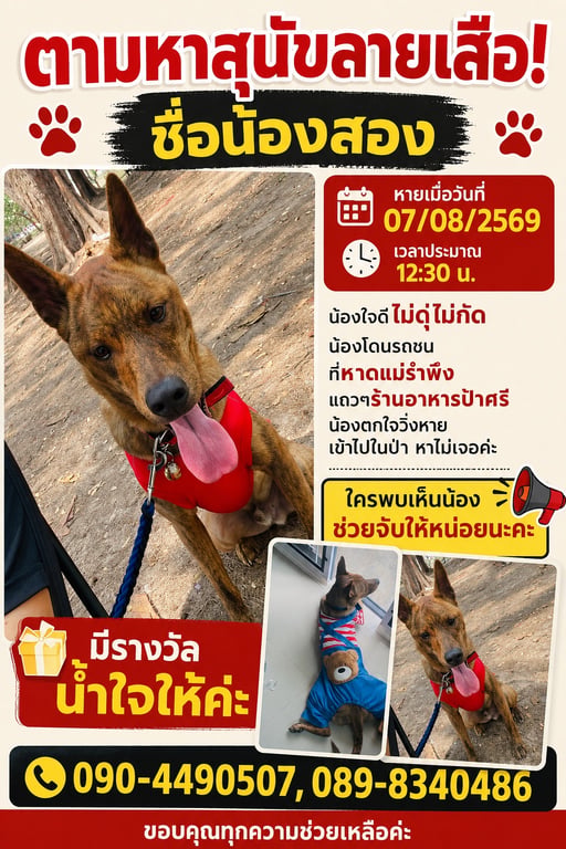 น้องสอง
