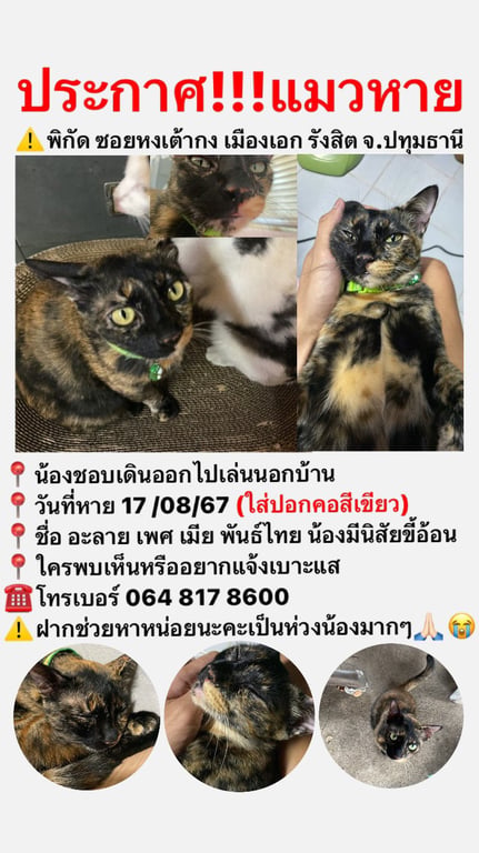 อะลาย