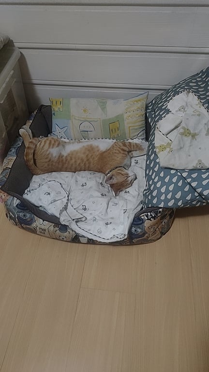 ทอง