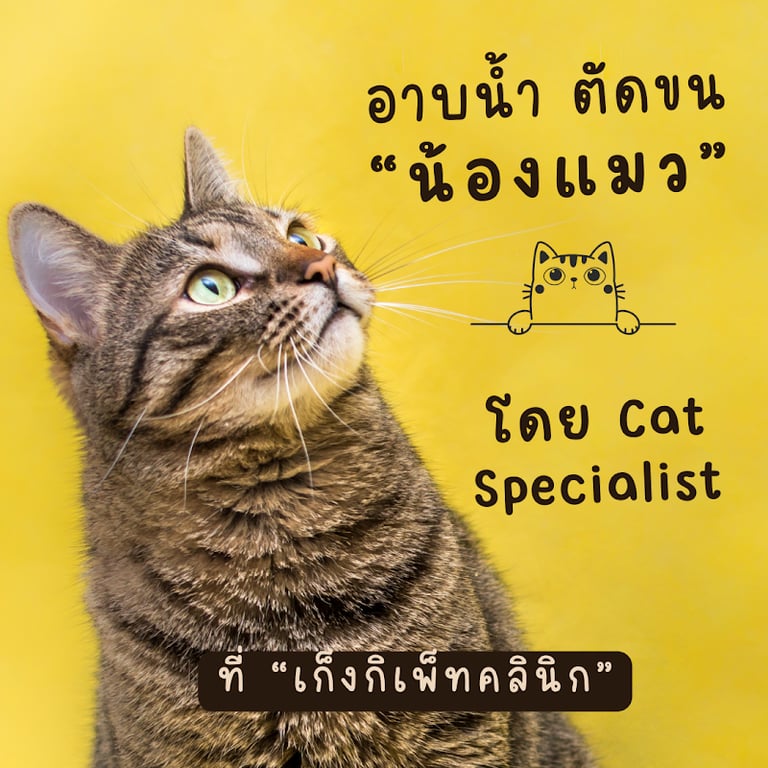 สุขาภิบาล 5 รักษาสัตว์