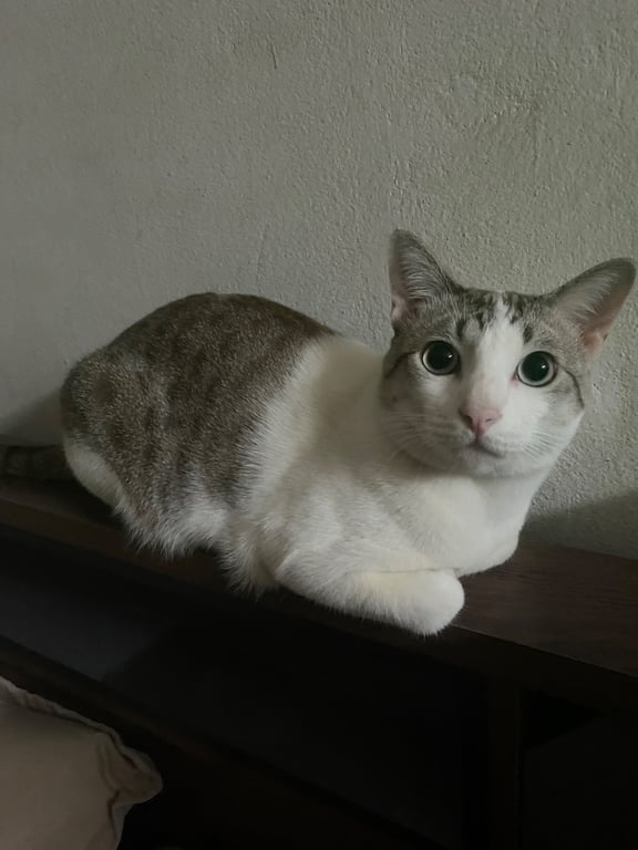 ยูตะ