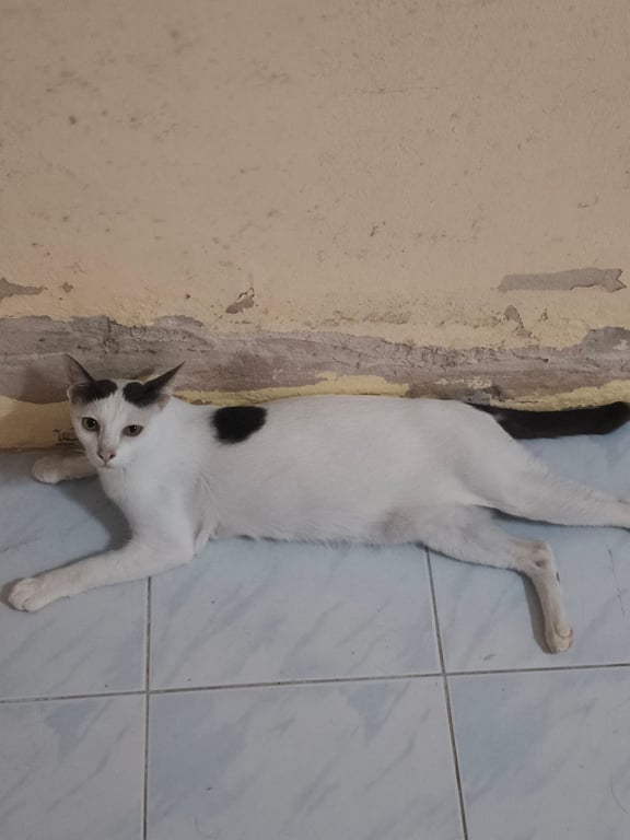 เศรษฐี