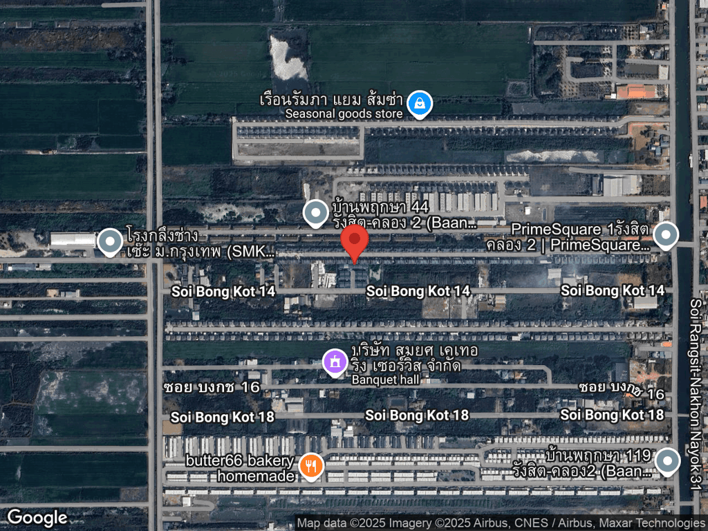 สถานที่หายของปังปัง