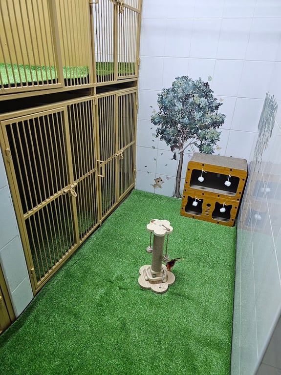 โรงพยาบาล สัตว์ต้นสนแอนนิมัลแคร์