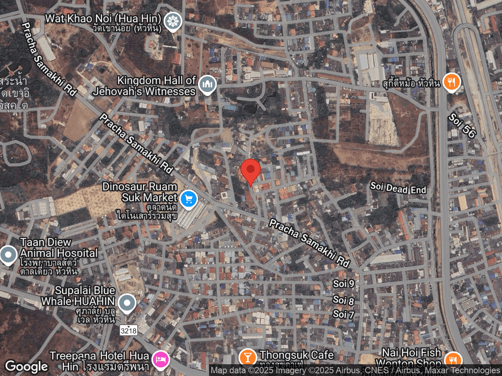 สถานที่หายของไทเกอร์