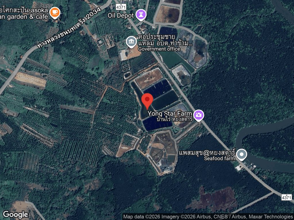 สถานที่หายของส้ม