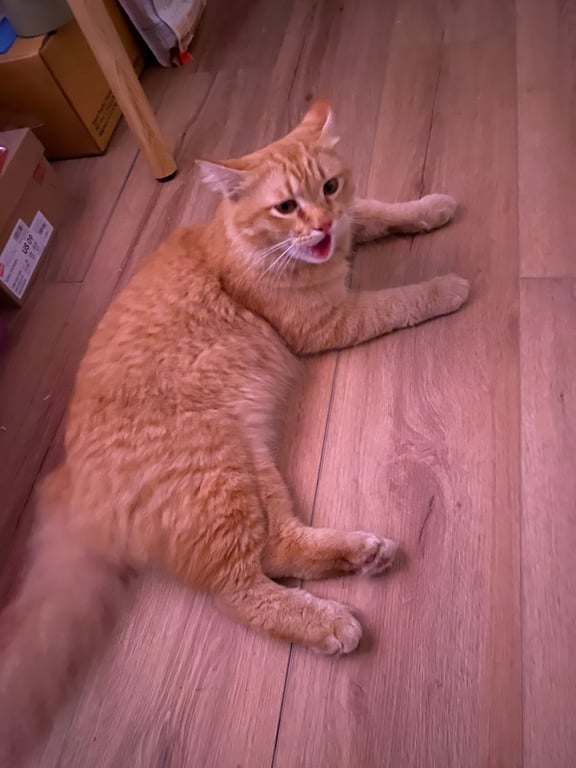 มีตังค์