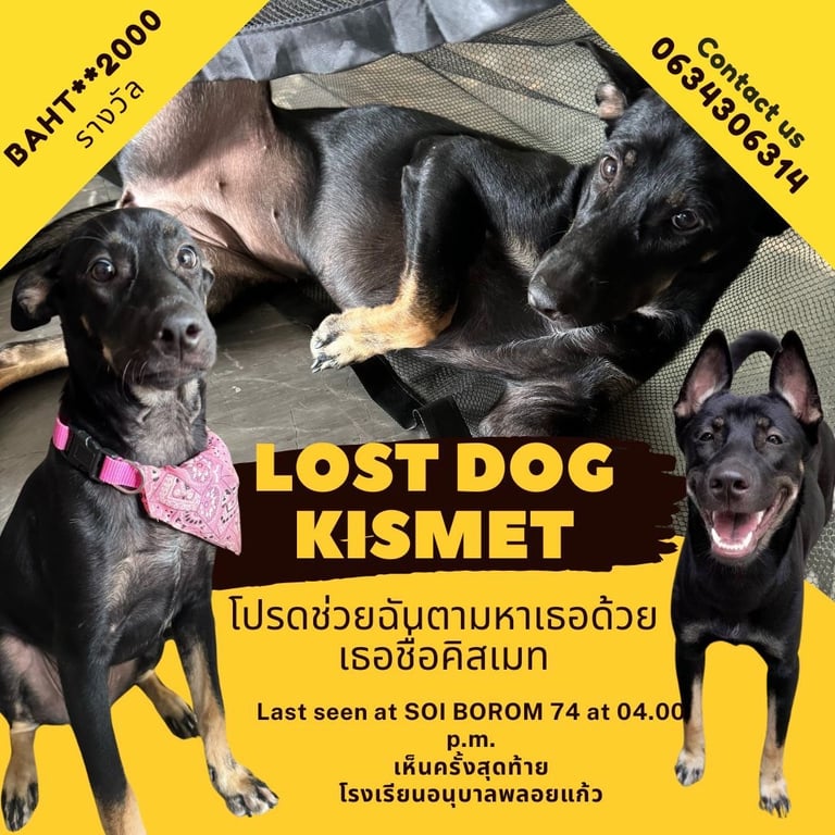คิสเมท