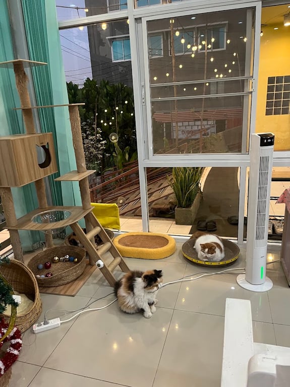 โรงพยาบาลสัตว์เพ็ททูแคร์ Pets2Care Pets Hospital