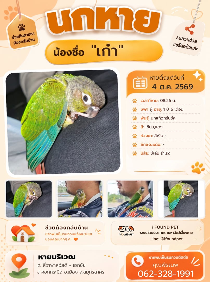 เก๋า